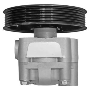 Bomba De Dirección Hidráulica Para Pathfinder 3.3l/3.5l - Imagen 2